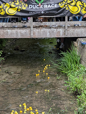 Ducks passing under a bridge